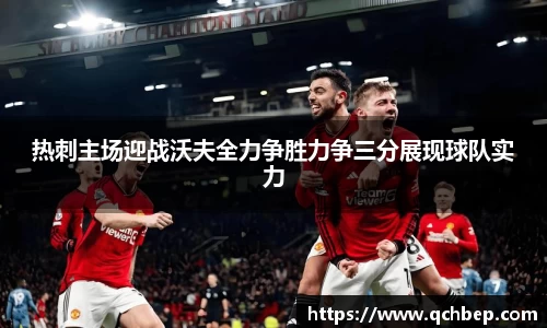 热刺主场迎战沃夫全力争胜力争三分展现球队实力